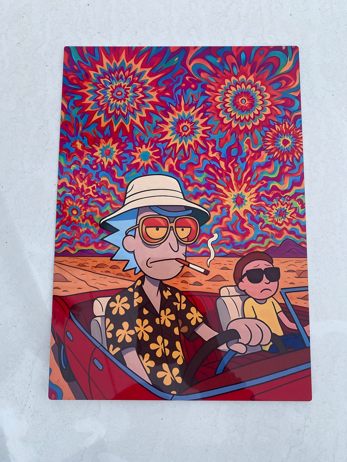 Cuadro Rick &amp; Morty